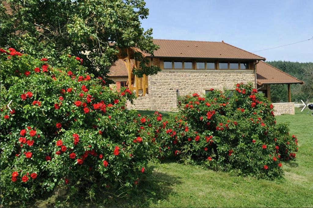 Ozolles Les Perruchons Ancienne Grange Renovee Avec Soin 빌라 객실 사진